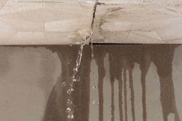Professional Burst Pipe Cleanup technician working in Harrison, ME